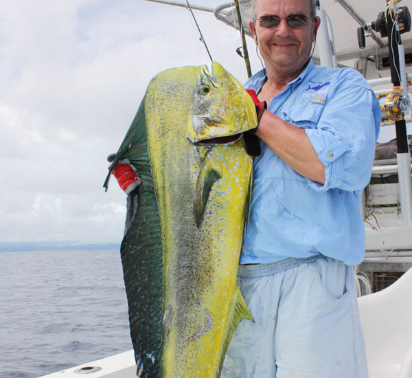 Schleppfischen auf Mahi Mahi
